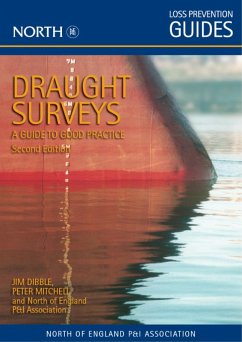 Cover Draught Surveys: A Guide to Good Practice, Second Edition (eBook, ePUB)