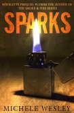 Sparks: The Smoke & Fire Series - Prequel Novelette (eBook, ePUB)
