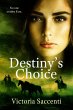 Destiny's Choice (eBook, ePUB) - Bild 1