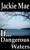 If... Dangerous Waters (eBook, ePUB)