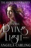 In The Dying Light (eBook, ePUB)