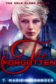 Forgotten (eBook, ePUB)
