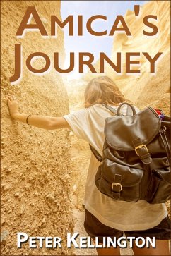 Cover Amica's Journey (eBook, ePUB)