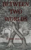Between Two Worlds (eBook, ePUB)