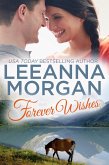 Forever Wishes: A Small Town Romance (eBook, ePUB)