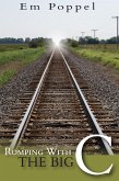 Romping with the Big C (eBook, ePUB)