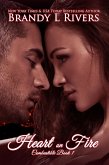 Heart on Fire (eBook, ePUB)