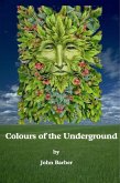 Colours of the Underground (eBook, ePUB)