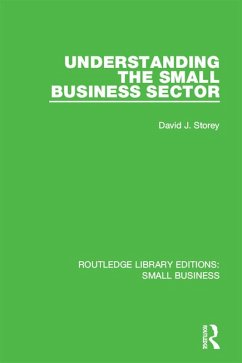 Understanding The Small Business Sector (eBook, PDF) - Storey, David J.