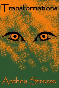 Cover Transformations (eBook, ePUB)