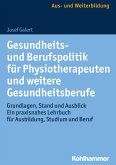 Gesundheits- und Berufspolitik für Physiotherapeuten und weitere Gesundheitsberufe (eBook, ePUB)