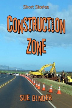 Construction Zone (eBook, ePUB) - Binder, Sue