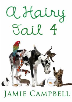 Cover Hairy Tail 4 (eBook, ePUB)
