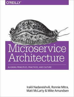 Cover Microservice Architecture (eBook, PDF)
