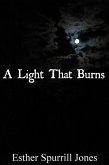 Light That Burns (eBook, ePUB)
