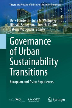 Governance of Urban Sustainability Transitions (eBook, PDF)
