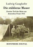 Die stählerne Mauer (eBook, ePUB)