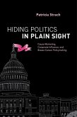 Hiding Politics in Plain Sight (eBook, ePUB)