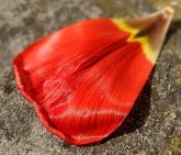 Back On Track (eBook, ePUB)