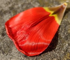 Back On Track (eBook, ePUB) - Cort, Dolores Back On Track (eBook, ePUB) - Cort, Dolores