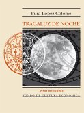 Tragaluz de noche (eBook, ePUB)