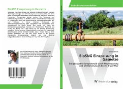 BioSNG Einspeisung in Gasnetze