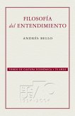 Filosofía del entendimiento (eBook, ePUB)