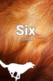 Six (eBook, ePUB)