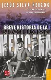 Breve historia de la Revolución mexicana, I (eBook, ePUB)