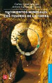 Yacimientos minerales (eBook, ePUB)