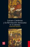 Lázaro Cárdenas y la Revolución mexicana, III (eBook, ePUB)