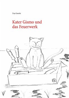 Kater Gismo und das Feuerwerk