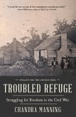 Troubled Refuge (eBook, ePUB)