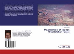 Developments of the Iron Ores Flotation Routes