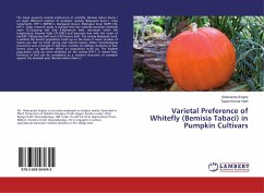 Varietal Preference of Whitefly (Bemisia Tabaci) in Pumpkin Cultivars