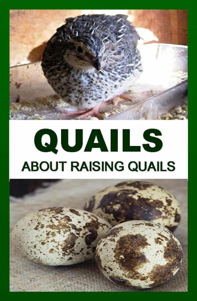QUAILS: About Raising Quails (eBook, ePUB)