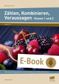 Zählen, Kombinieren, Voraussagen - Klasse 1 und 2 (eBook, PDF)