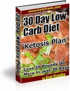 30 Day Low Carb Diet ‘Ketosis Plan’ (eBook, PDF) - Collectif, Ouvrage