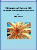 Glimpses of Ocean Life: Rock-Pools and the Lessons They Teach (eBook, ePUB)
