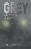 Grey Like the Color of Ashes (eBook, ePUB)