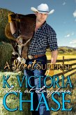 A Sweet Surprise (Love at Longhorn, #1) (eBook, ePUB)