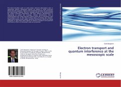 Electron transport and quantum interference at the mesoscopic scale - Benjamin, Colin