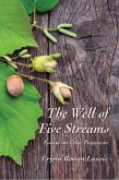The Well of Five Streams Essays on Celtic Paganism (eBook, ePUB)