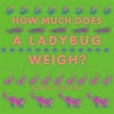 How Much Does a Ladybird Weigh?