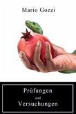 Prüfungen und Versuchungen (eBook, PDF)