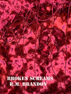 Cover Broken Screams (eBook, ePUB)