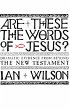 Are these the Words of Jesus? (eBook,... - Bild 1