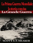 La Prima Guerra Mondiale: la storia concisa - La Grande Guerra (eBook, ePUB)