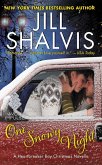 One Snowy Night (eBook, ePUB)