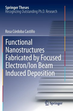 Functional Nanostructures Fabricated by Focused Electron/Ion Beam Induced Deposition - Córdoba Castillo, Rosa